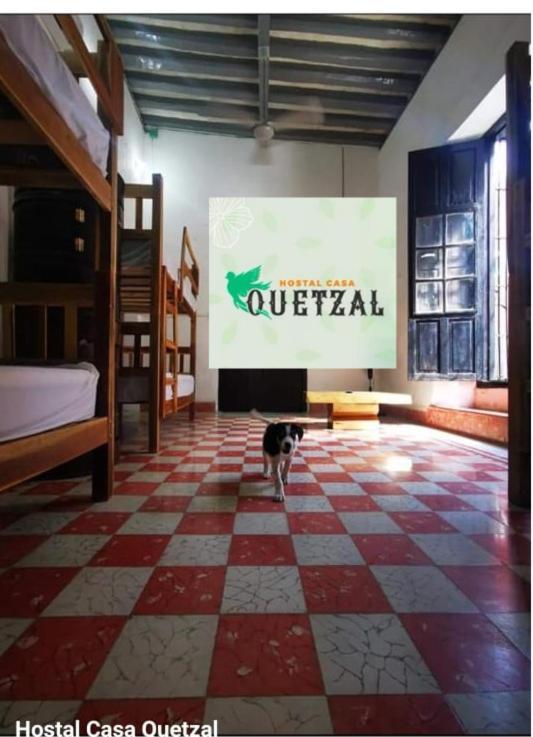 Hostel Casa Quetzal Campeche Extérieur photo